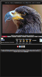 Mobile Screenshot of fotomartin.bubakov.net